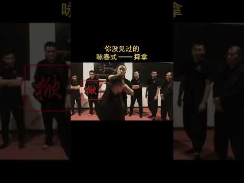 創作靈感 你沒見過的，詠春摔拿。武術 詠春 葉問