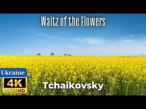 4K Ukraine Scenic Nature Video - Tchaikovsky - Waltz of the Flowers