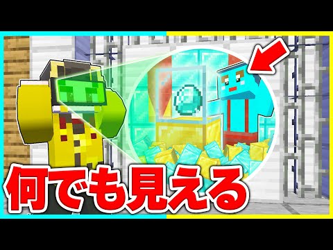 なんでも透けるメガネを使ってけなたろうの宝物を盗め💎【まいくら / マインクラフト】