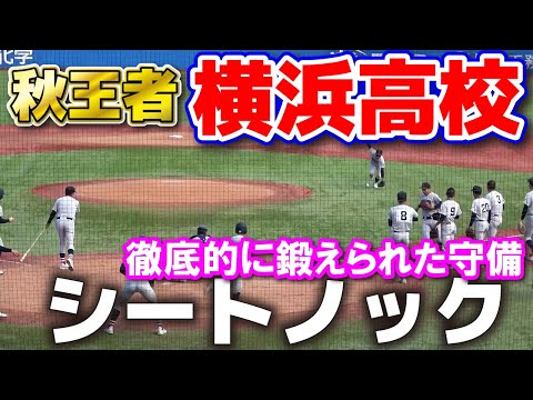 秋日本一　横浜高校の徹底的に鍛えられた守備　シートノック　　【明治神宮野球大会　準決勝　横浜高校 vs 東洋大姫路】　2024.11.23 明治神宮球場 高校野球