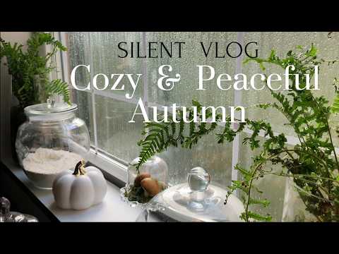 A Cozy Rainy Day at Home 🍁 Cottage Garden in October 🍂 Autumn Project 🎨 Simple Life ASMR 🌧 Rain ASMR