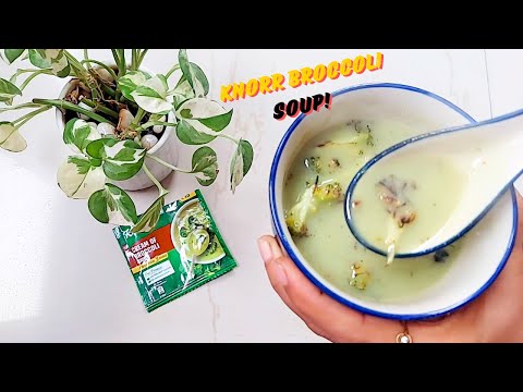 Knorr's Cream of Broccoli Soup Recipe in Hindi | Knorr Cream of Broccoli Soup Review! Knorr Soup