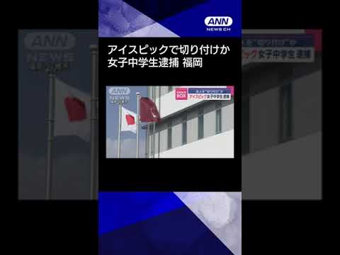 【ニュース】アイスピックで友人を“切り付け”か　女子中学生逮捕　福岡 #shorts