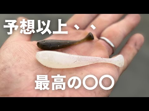 【バス釣り】水夢ベイト3インチを実釣インプレ【ツレルモンデ】あのリグのアクションが、ヤバい、、落とすだけで簡単に釣れてしまう動きとは？【奇跡のアクション】【貴重ルアー】【ハンドポワード】