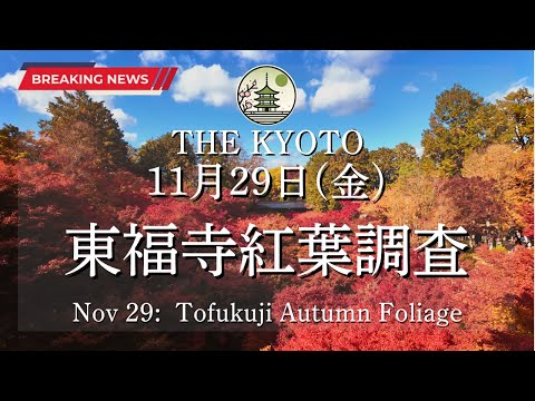 The fall foliage situation at Tofukuji Temple on Friday, November 29