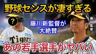 【将来の主力候補！】藤川新監督が「野球センスが凄すぎる。」と絶賛した若手選手とは？春季キャンプで一軍抜擢の可能性も？【阪神タイガース】