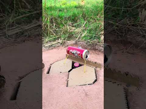 DIY Creative - New! Idea Underground Quail Trap Using Cardboard Box