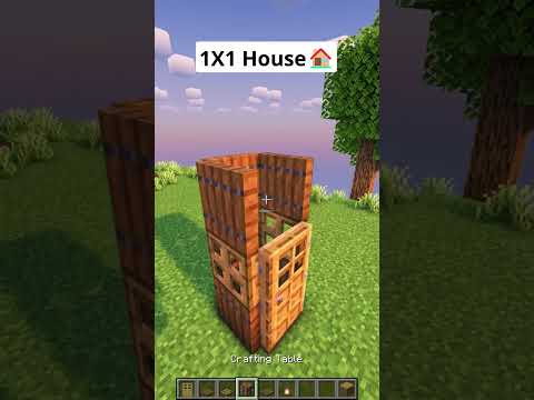 Minecraft 1X1 House🏠 #shorts