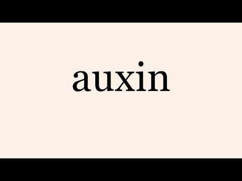 auxin