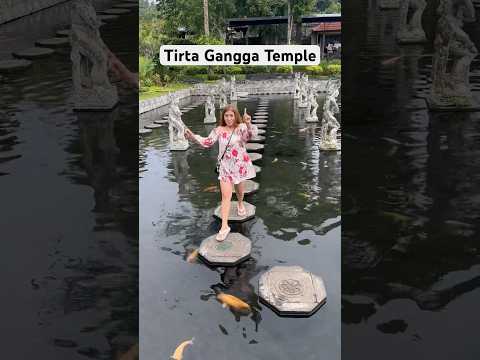 Pa bebe 😂 #shorts #shortvideo #bali #indonesia #templeinBali #touristattraction #touristdestination