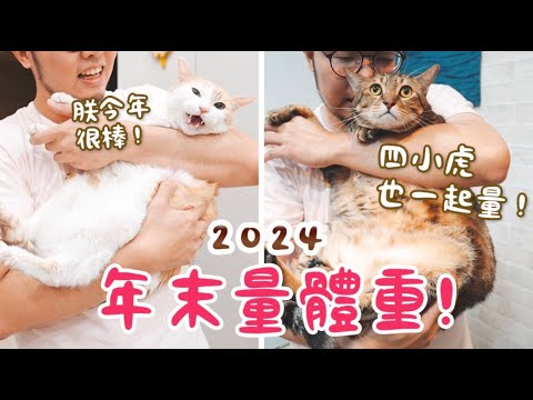 【黃阿瑪的後宮生活】2024年末量體重！四小虎也一起量！