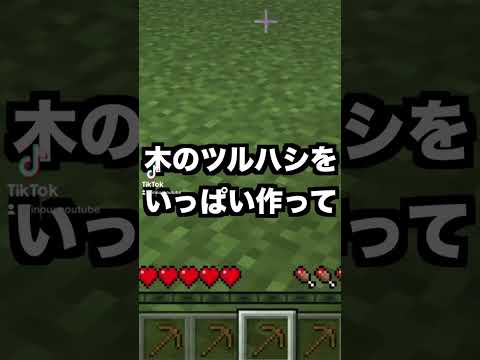 【マイクラ】TIkTokで１００万回再生されたループ動画！？【まいくら・マインクラフト】#shorts