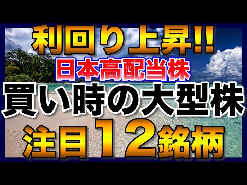 【高配当株】利回りが上昇した大型株注目12銘柄【新NISAで購入検討】