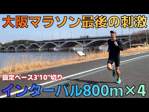 【いよいよ大阪マラソンへ】最後の調整800m×4本で刺激入れ！