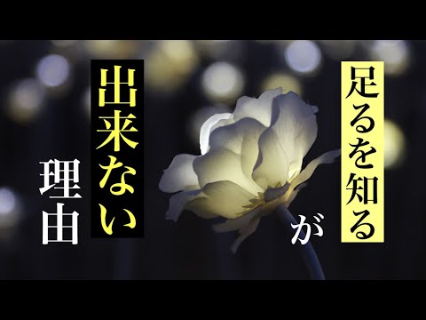 どん底人生から抜け出せない理由。【足るを知る】が出来ない人