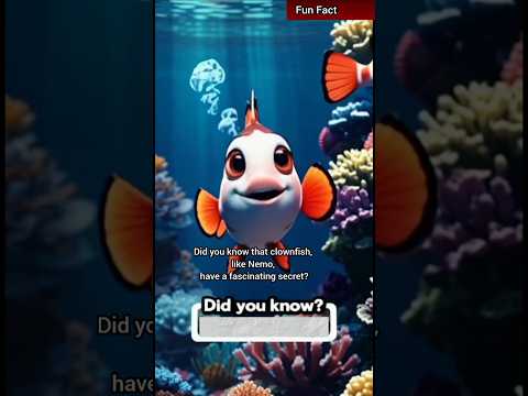 Facts about Clownfish #facts #learningisfun