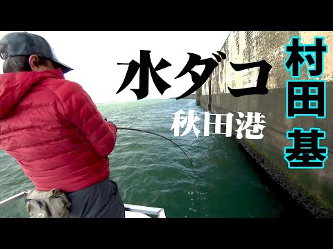 世界最大・ミズダコに挑む！秋田港に潜むモンスターを探し出せ！ 2/2 『魚種格闘技戦！ 240 村田基×秋田港に潜む巨大ミズダコ』【釣りビジョン】