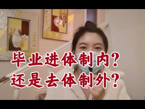 毕业进体制内还是去体制外？挣够钱进体制损失的后期发展vs直接进体制损失的前期收入，怎么衡量？