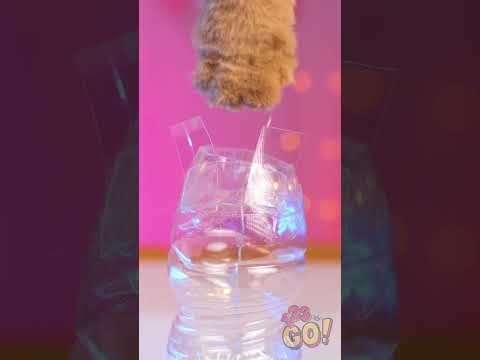 DIY Cute Animal Night Lamp from Old Socks & Bottles! ✨🐻 #123go