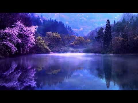 Relaxing Sleep Music • Deep Sleeping Music • Relaxing Music • Stress Relief • Meditation Music