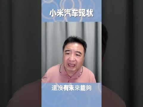 翟山鹰：小米汽车现状