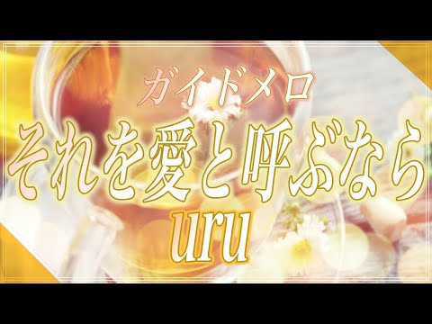 ガイドメロ付き【ほぼ原曲カラオケ音源】それを愛と呼ぶなら / Uru TBS系 日曜劇場「マイファミリー」主題歌 アルタエースcover