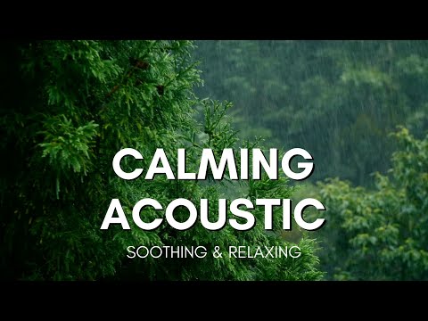 Easy Days | Calming Acoustic | Chill Vibes for Stress Relief