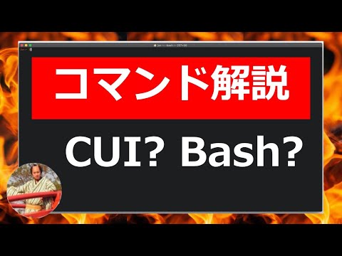 Linuxコマンドの使い方入門｜CUIとGUIの違いやシェルについて解説！【プログラマー必須スキル】