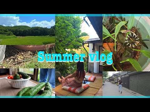 夏休みを田舎で充実させた日々の日常🌻|vlog|長野県観光|BBQ