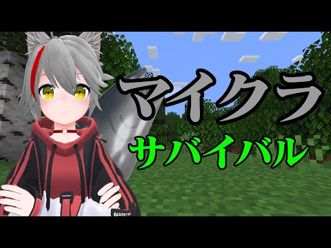 【Minecraft】まったり、テストがてら【サバイバル】