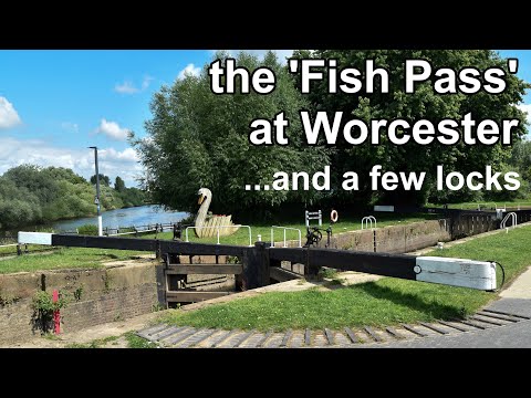 Fish Pass at Worcester. Locks on the River Severn and Worcester & Birmingham Canal