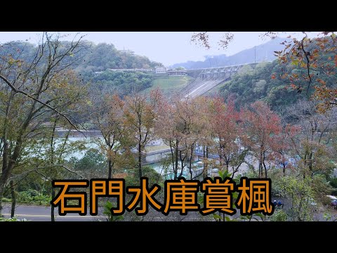 石門水庫賞楓（高線、中線、後池堰路線）梅花、櫻花也開了