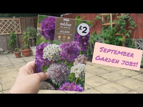 September Garden Jobs - UK