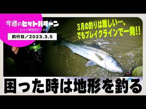 【三重北部のシーバス】困った時は地形を釣ろう／手前は捨てて沖のブレイクラインを探る【2023.3.5 今週のヒットパターン ‐日々の時短釣行‐／＃4】