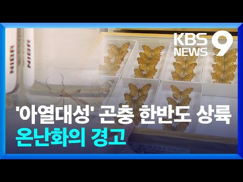 미기록 곤충 10%가 ‘아열대성’…“기후변화 영향” [9시 뉴스] / KBS  2025.03.15.