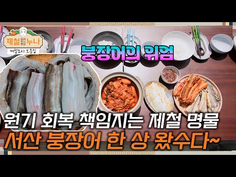 [제철 요리 모음집_시즌3] 원기 회복 책임지는 제철 명물! 서산 붕장어 한 상 왔수다~ | 제철누나