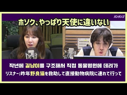 [BTS 日本語字幕] ラジオに出て野良猫の救出について話したJ-HOPE