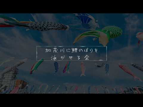 加茂川に鯉のぼりを泳がせる会PV