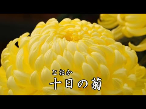 十日の菊　　石川さゆり