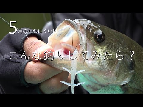 ５月の釣れにくい日はコレ！(バス釣り）