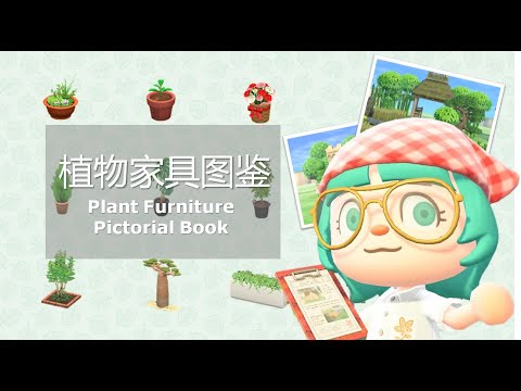 【ACNH】全植物家具图鉴 Plant Furniture pictorial book & Application tips