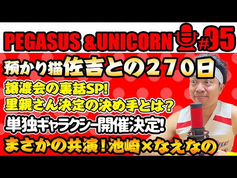 【第95回】サンシャイン池崎のラジオ『ペガサス＆ユニコーン』2024.08.26　預かり猫佐吉との270日！池崎がついになえなのちゃんと共演！単独ギャラクシー開催決定！