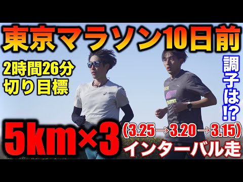 【最後】東京マラソン2時間26分切りに向けて5km×3インターバルを実施！10日前練習は果たして良い形でこなせるか？元箱根駅伝ランナーの國學院大學OB参戦！#マラソン #ランニング #彩湖