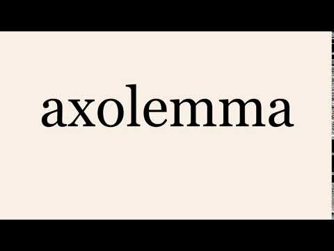 axolemma