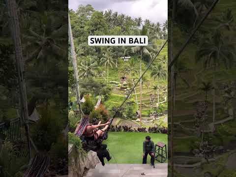 BALI SWING INDONESIA Alas Harum Bali #indonesia  #SwinginBali #shorts #shortvideo #SwinginBali