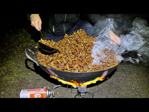 Cooking Fried Rice with Cicada Shells