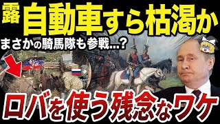 【ゆっくり解説】ロシア軍はロバを使う必要があるほど車両が不足しているのか？