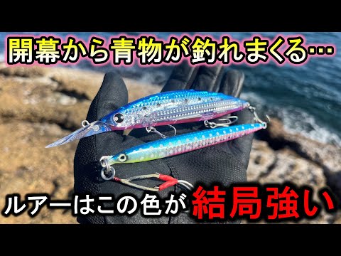 青物系ルアーで1番信頼してるこのカラーが想像以上に魚を釣って早上がりになりました