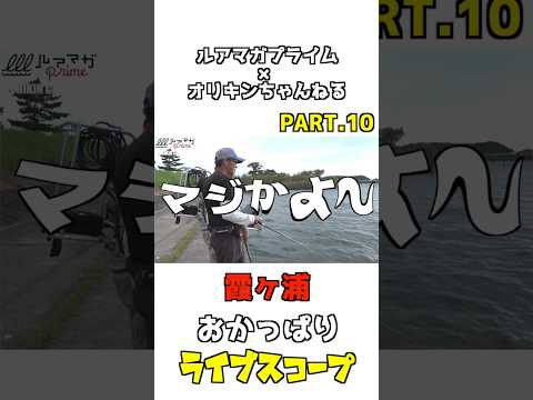 ライブスコープおかっぱりPART.10【ルアマガプライム✖︎オリキンちゃんねる】