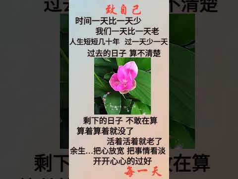 #子夜說 #人生感悟 #幸福 #幸福人生 #深夜讀書 #勵志 #中老年心語 #靈感